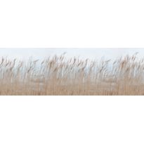 Kuvatapetti Rebel Walls Swaying Reed, non-woven, mittatilaus