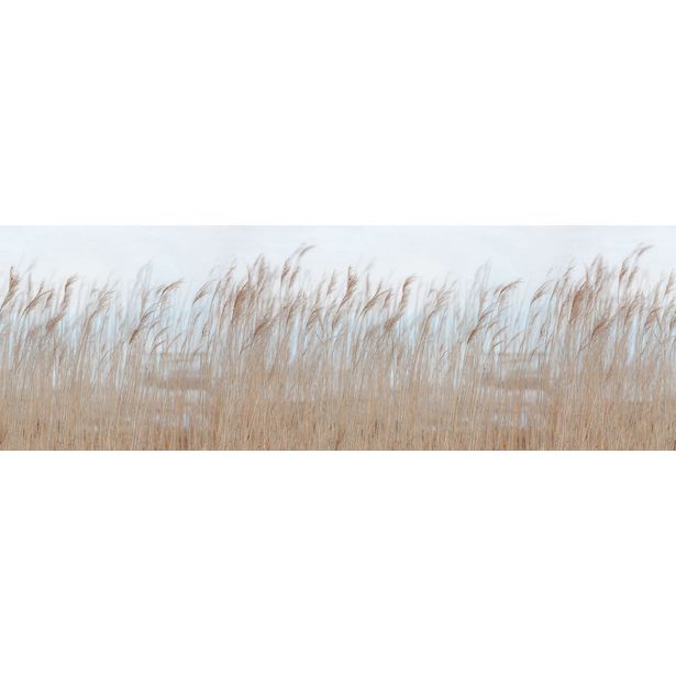 Kuvatapetti Rebel Walls Swaying Reed, non-woven, mittatilaus