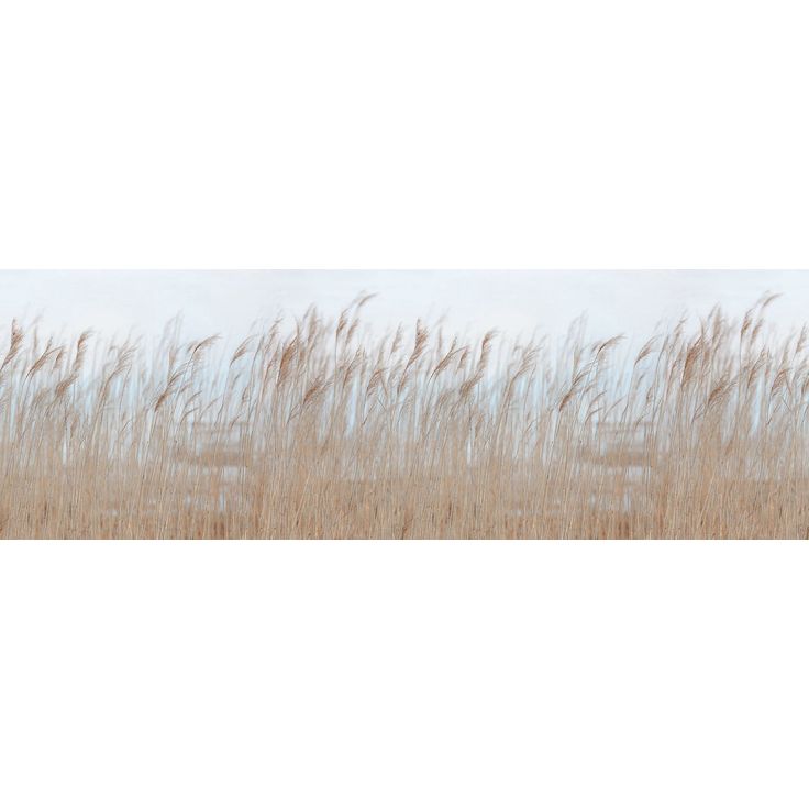 Kuvatapetti Rebel Walls Swaying Reed, non-woven, mittatilaus