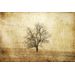 Mallipala Rebel Walls The Lonely Tree (REBR12081)