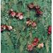 Mallipala Rebel Walls Unfading Flowers (REBR15801)