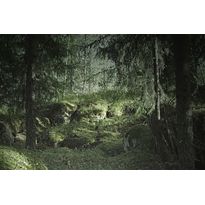 Maisematapetti Rebel Walls Virgin Forest, non-woven, mittatilaus
