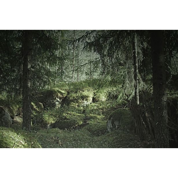 Kuvatapetti Rebel Walls Virgin Forest, non-woven, mittatilaus
