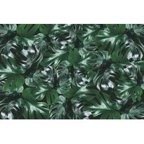 Kuvatapetti Rebel Walls Welcome To The Jungle Authentic, non-woven, mittatilaus