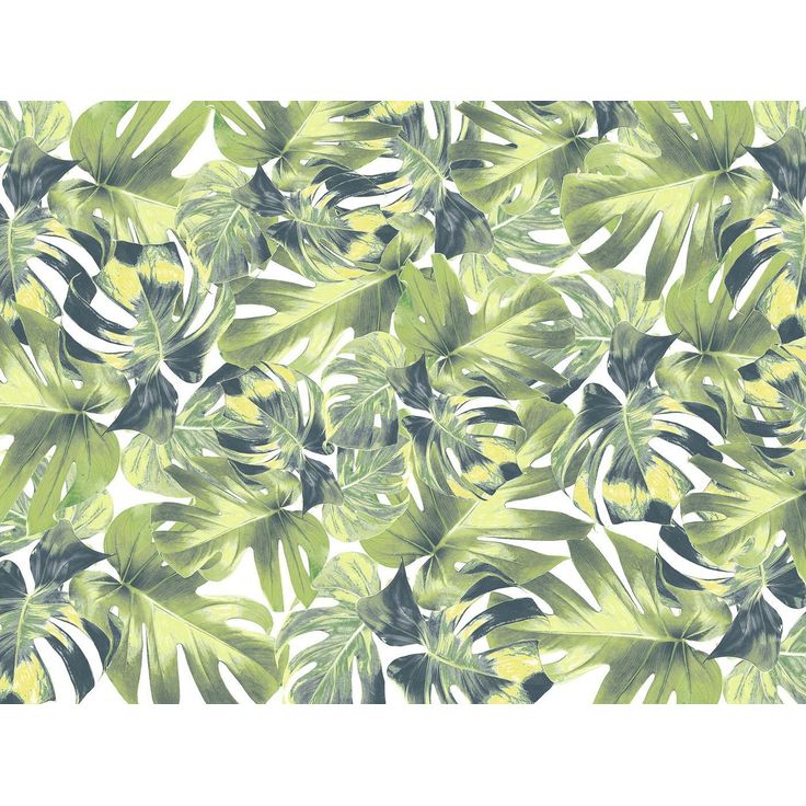 Kuvatapetti Rebel Walls Welcome To The Jungle, non-woven, mittatilaus