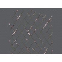Kuvatapetti Rebel Walls Winding Spring Black, non-woven, mittatilaus