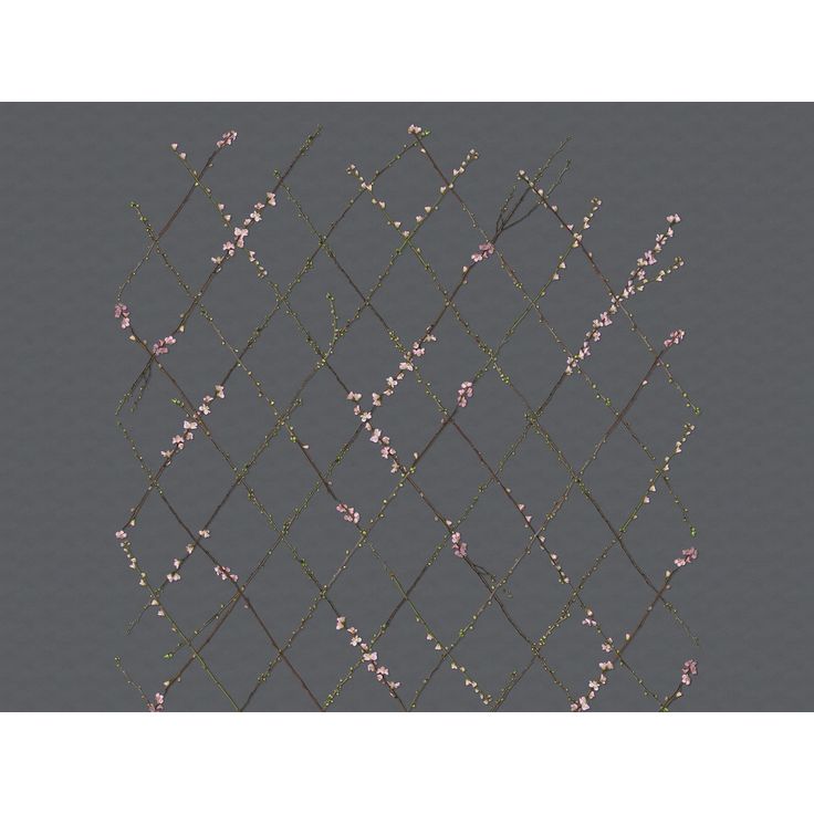 Kuvatapetti Rebel Walls Winding Spring Black, non-woven, mittatilaus