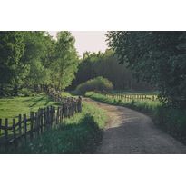 Maisematapetti Rebel Walls Wooden Fence, non-woven, mittatilaus