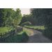 Mallipala Rebel Walls Wooden Fence (REBR16541)