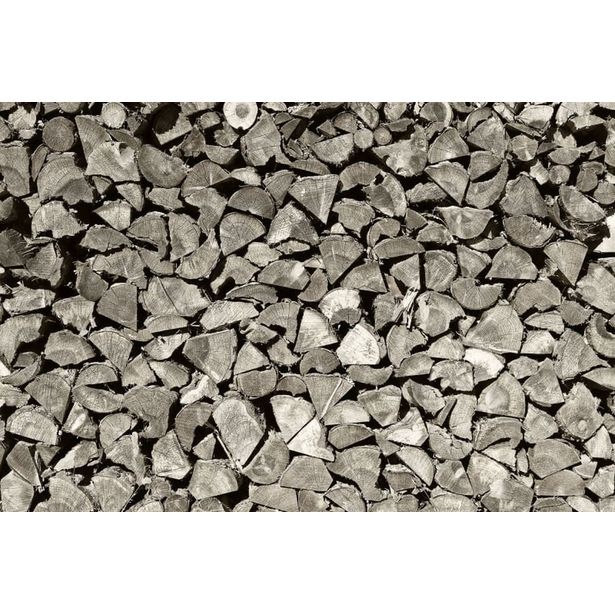 Kuvatapetti Rebel Walls Woodpile, non-woven, mittatilaus