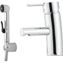 Pesuallashana Mora MMIX B5, Sanette
