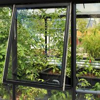 Sivuikkuna kasvihuoneeseen Vitavia Helena, ilman lasia, musta