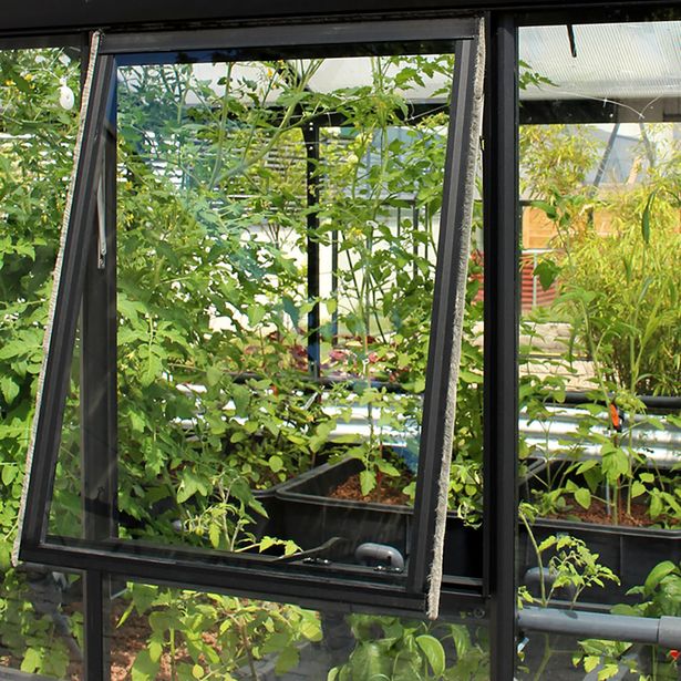 Sivuikkuna kasvihuoneeseen Vitavia Helena, ilman lasia, musta