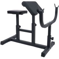 Scott/Hauispenkki React 100