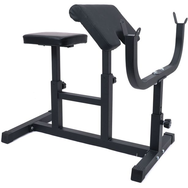 Scott/Hauispenkki React 100