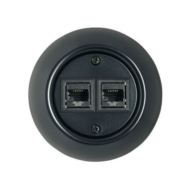 Telerasia Schneider Electric Renova 2xRJ45, Cat 6, valk
