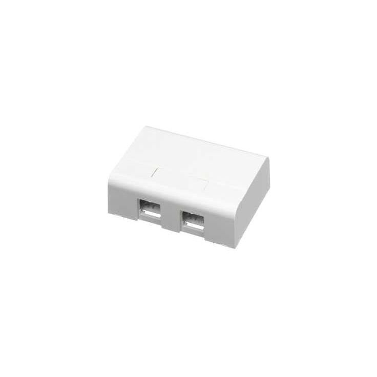 Datarasia Schneider Electric Actassi 2xRJ45, pinta-asennus, valkoinen