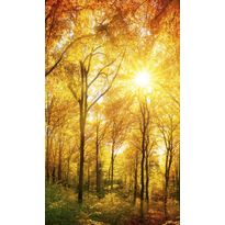 Maisematapetti Dimex Sunny Forest, 150x250cm