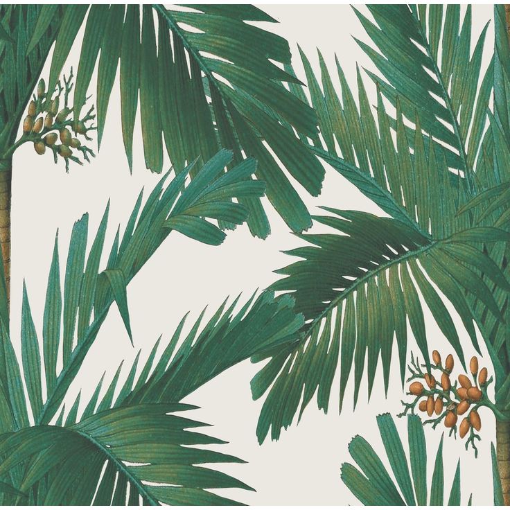 Tapetti Rebel Walls Palm Spring Pearl 0,50x10 m non-woven