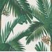 Mallipala Rebel Walls Palm Spring Pearl (REBR17572)