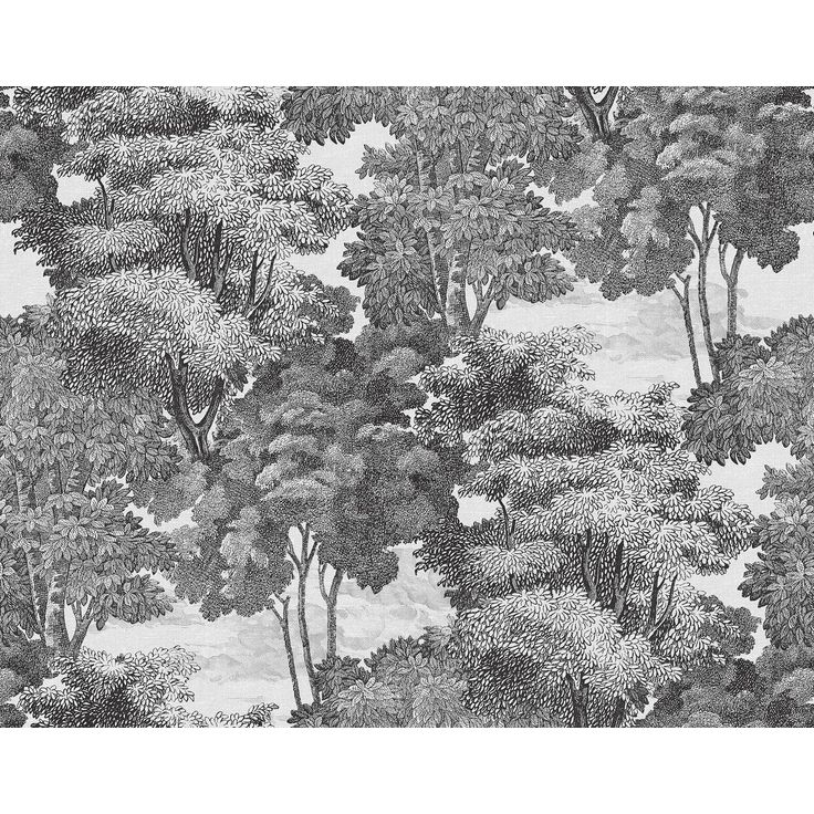Metsätapetti Rebel Walls Saint Sebastian Graphite 0,50x10 m non-woven
