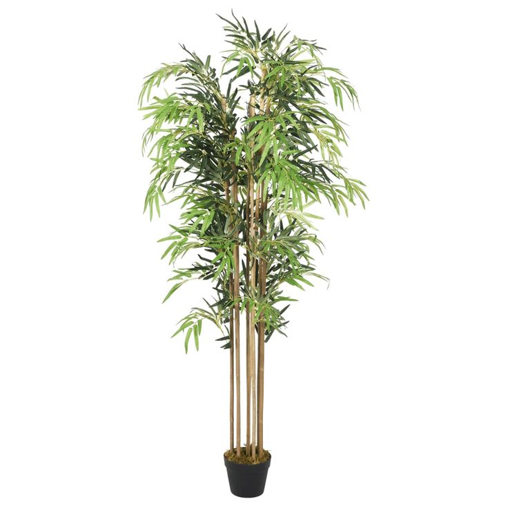 Tekokasvi bambupuu, 150 cm, 1095 lehteä