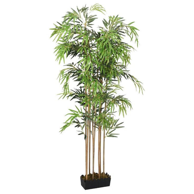 Tekokasvi bambupuu, 500 lehteä, 80 cm, vihreä