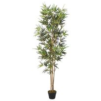 Tekokasvi bambupuu, 552 lehteä, 120 cm