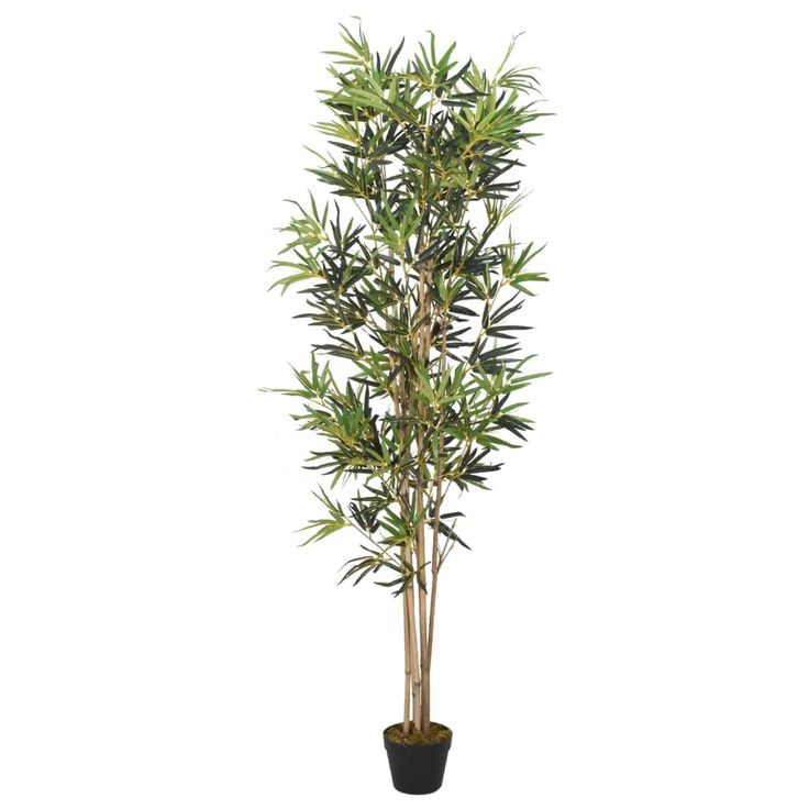 Tekokasvi bambupuu, 552 lehteä, 120 cm