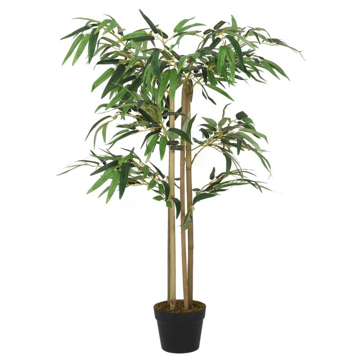 Tekokasvi bambupuu, 760 lehteä, 120 cm