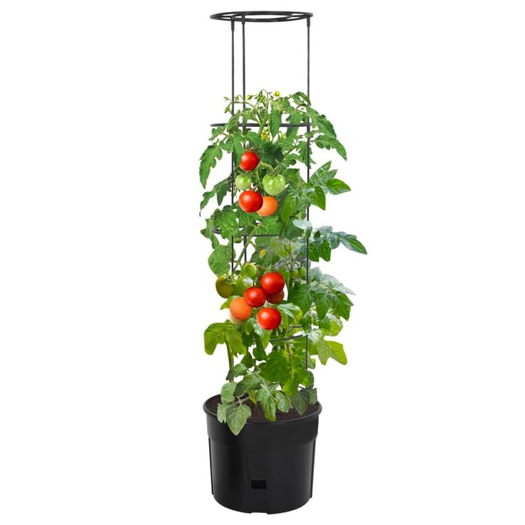 Tomaattiruukku antrasiitti Ø39x150 cm polypropeeni (52210)