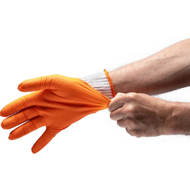 Kertakäyttöhanskat Traeger BBQ Prep & Serve