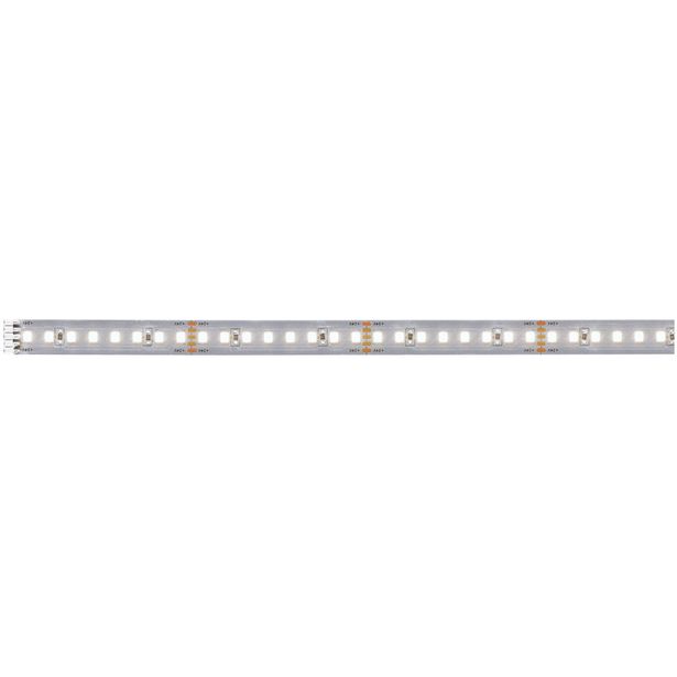 LED-valonauha Paulmann MaxLED 1000, 1100lm/m