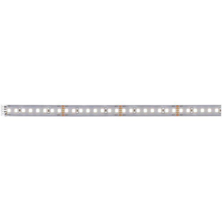 LED-valonauha Paulmann MaxLED 1000, 1100lm/m