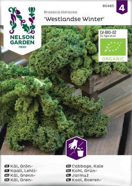 Lehtikaali Nelson Garden Westlandse Winter Organic, siemenet