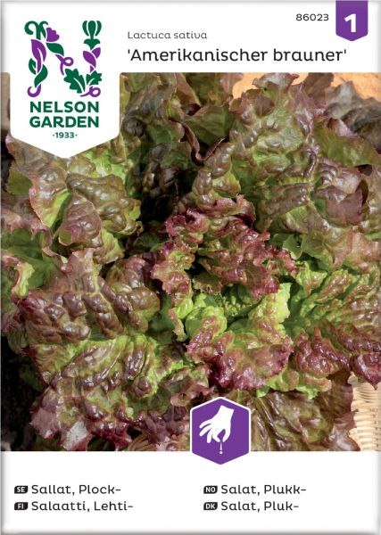 Lehtisalaatti Nelson Garden Amerikkalainen, siemenet
