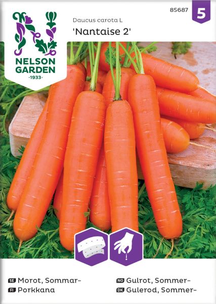 Porkkana Nelson Garden Nantaise 2, kylvönauha, siemenet