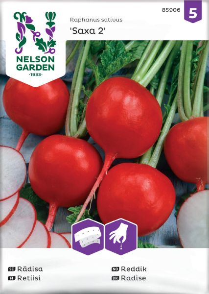 Retiisi Nelson Garden Cherry Belle, siemenet