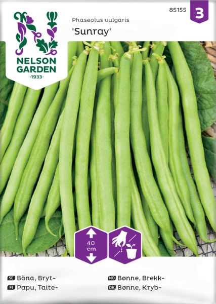Taitepapu Nelson Garden Sunray, siemenet