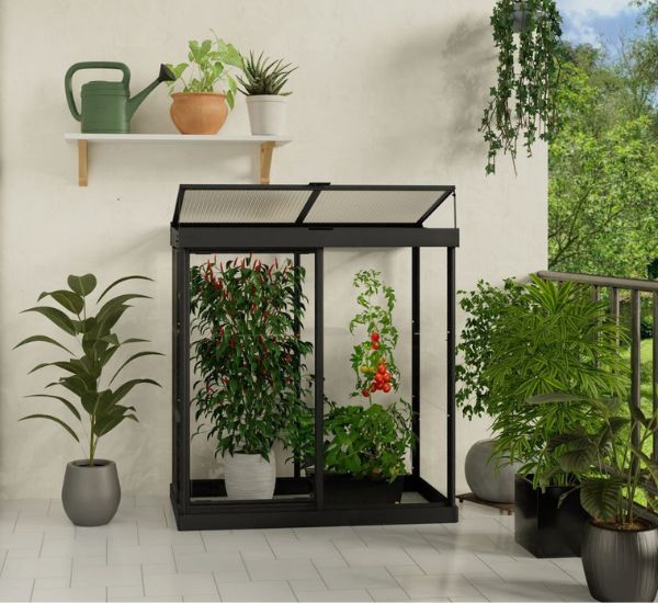 Palram Canopia Ivy minikasvihuone parvekkeella