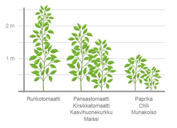 Kasvihuonekasvien korkeus