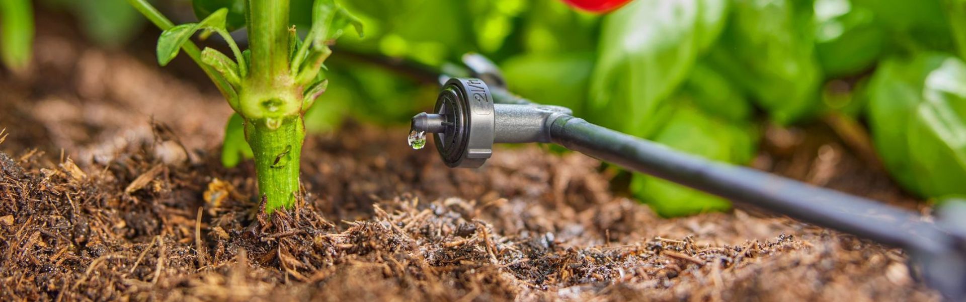 Opas kasvihuoneen kastelujärjestelmään