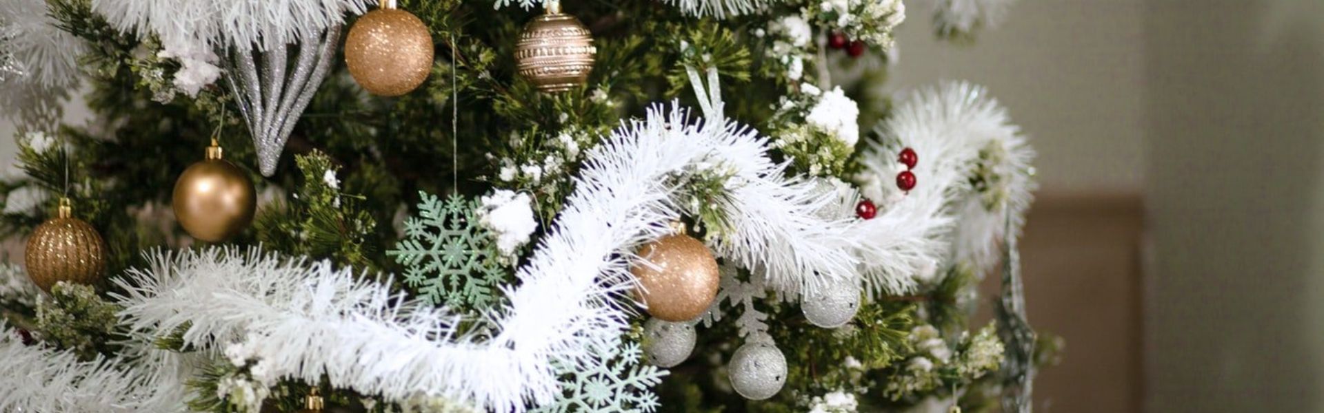 Parhaat joulukuuset kotiin