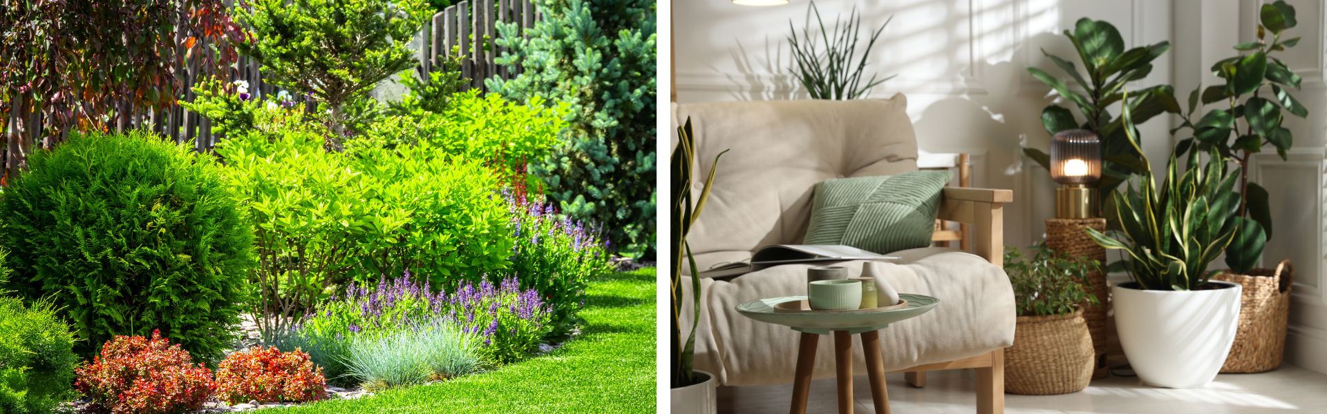 Kukat varjoon ja varjoisan paikan kasvit