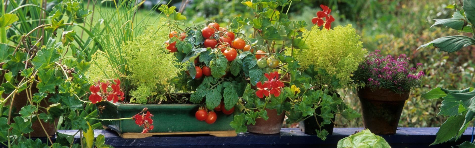 Ideat parvekepuutarhaan