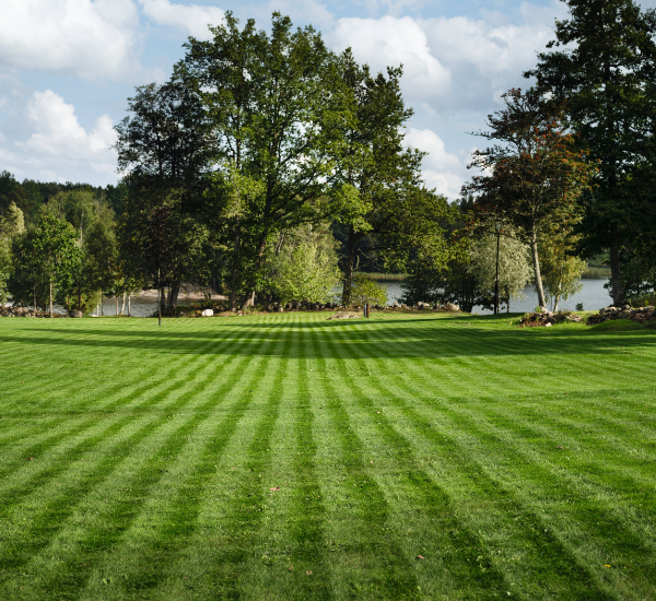 Robottiruohonleikkuri Husqvarna Automower Aspire R4 järjestelmällinen leikkuu