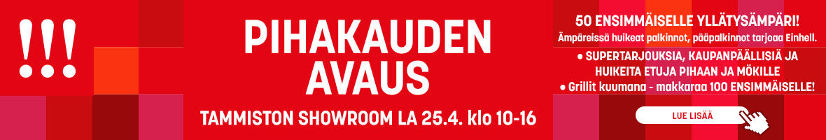 Pihakauden Tammistossa